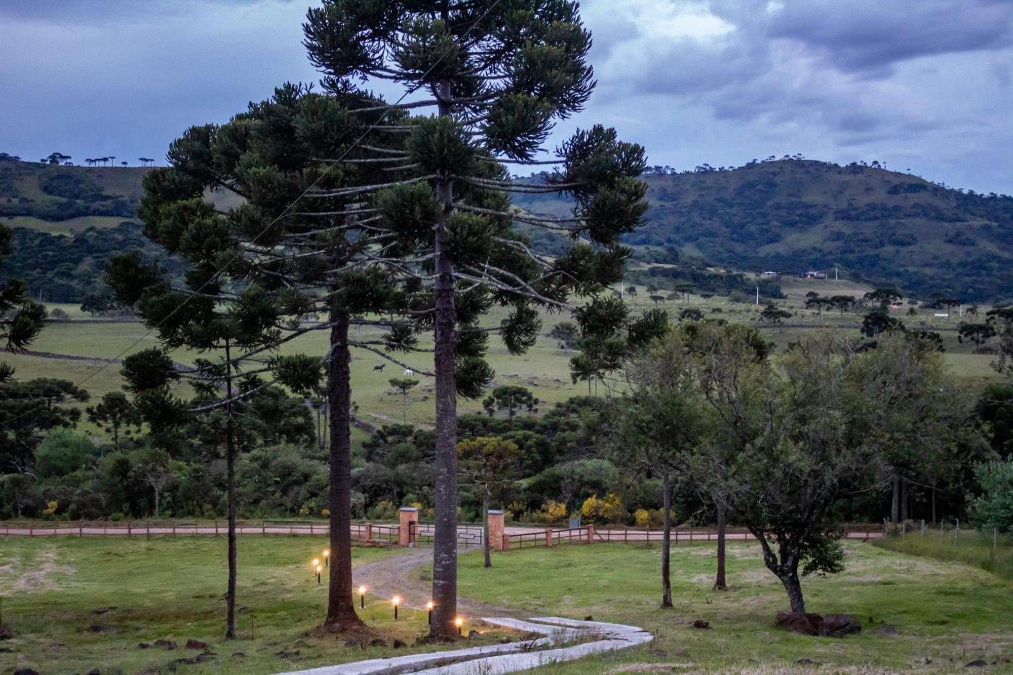Casas Rainha Da Serra 01 E 02 Dorm Com Cozinha E Fogo De Chao Urubici Exterior foto